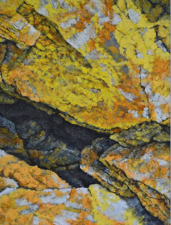 'Bright Yellow Lichen', mixed media on paper, 70cm x 50cm, framed
