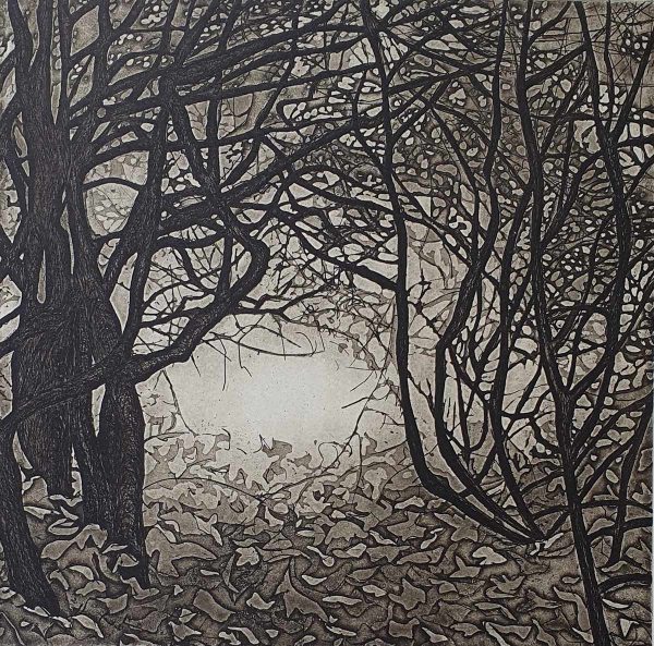 'Enchanted Woods', etching on fabriano paper, 40cm x 40cm, in limed wood frame